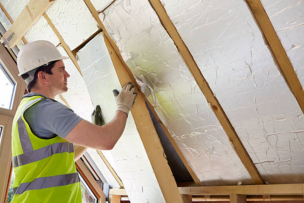 Best Types of Insulation in Alderwood Manor, WA